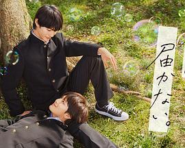 中日韩视频网站海报剧照