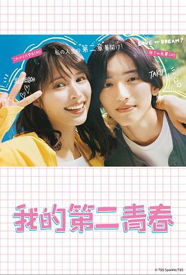 完美伴侣电影海报剧照